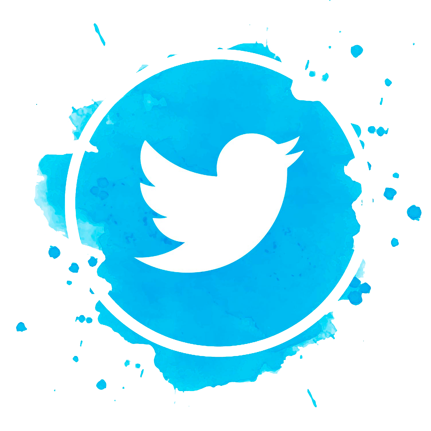 X (Twitter)